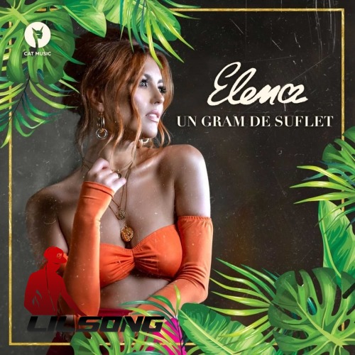 Elena - Un Gram De Suflet